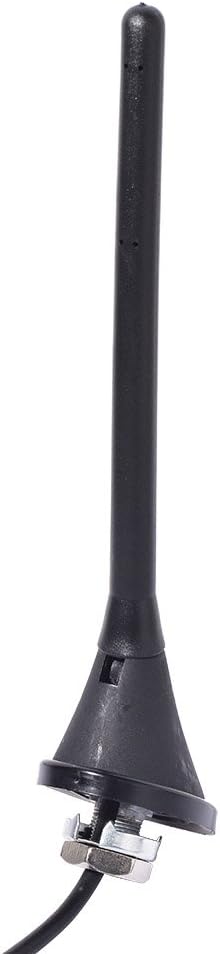 Eightwood Autoradio Antenne KFZ Antenne Dachantenne 16V Verstärker Raku 2 II passend für Anti Originalradio Noise Stab 17,5cm 60 Grad MEHRWEG