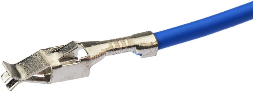 Eightwood AM/FM DAB Antenne Fakra Adapter DIN Stecker auf Dual Fakra Z Stecker DAB Splitter mit Amplifier Power Kabel 30cm für Ham Radio Blaupunkt Pioneer Clarion Alpine MEHRWEG