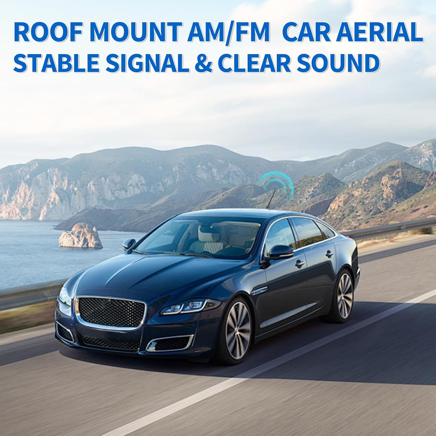 Eightwood Autoantenne Dach FM AM Antenne Autoradio Autoantenne Kurz + 20cm Verlängerungskabel für Auto LKW SUV Stereo Receiver Media Headdunits Digital Radio FM Tuner