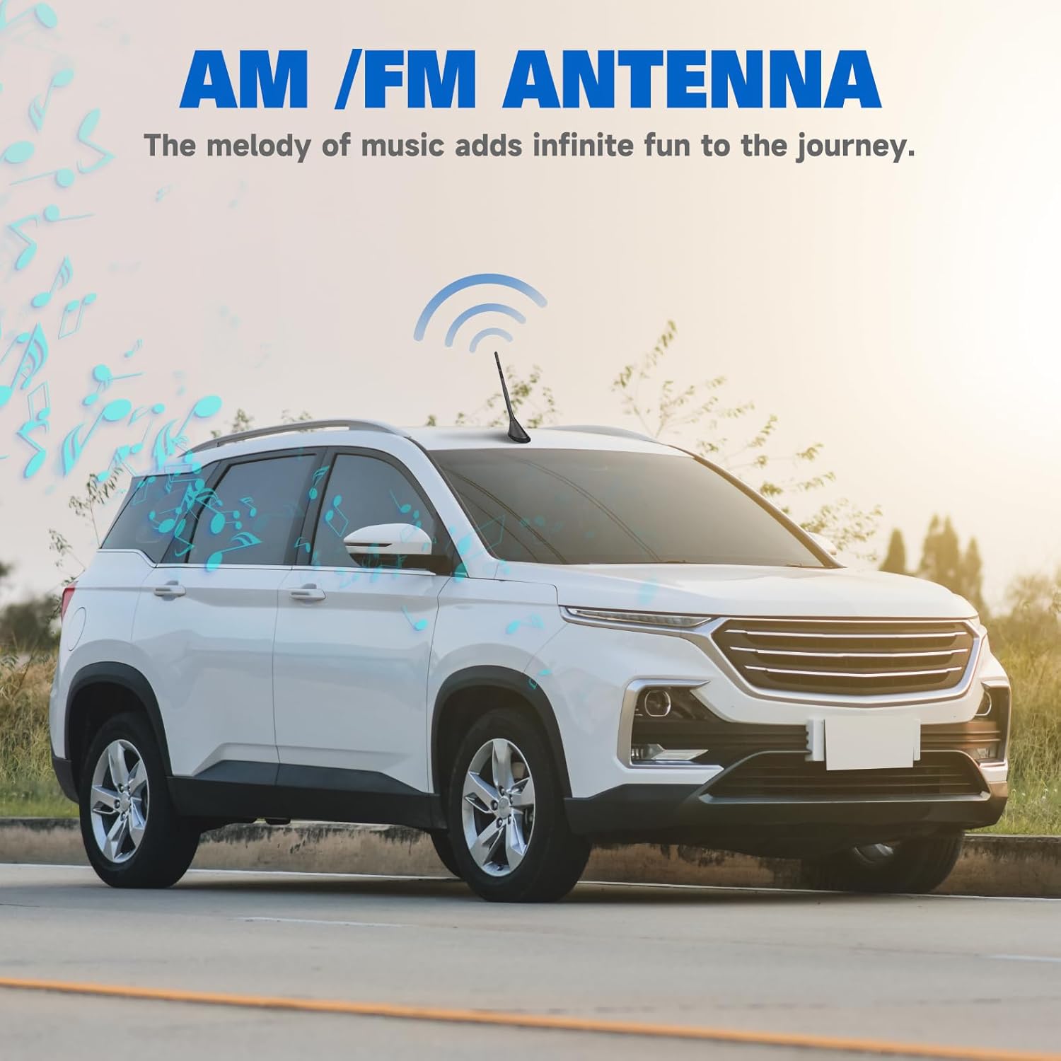 Eightwood Auto Antenne Dach FM AM Aktive Antenne Autoradio mit Verstärker Autoantenne Kurz + 5m Verlängerungskabel für Auto LKW SUV Stereo Receiver Media Head Units Digital Radio FM Tuner