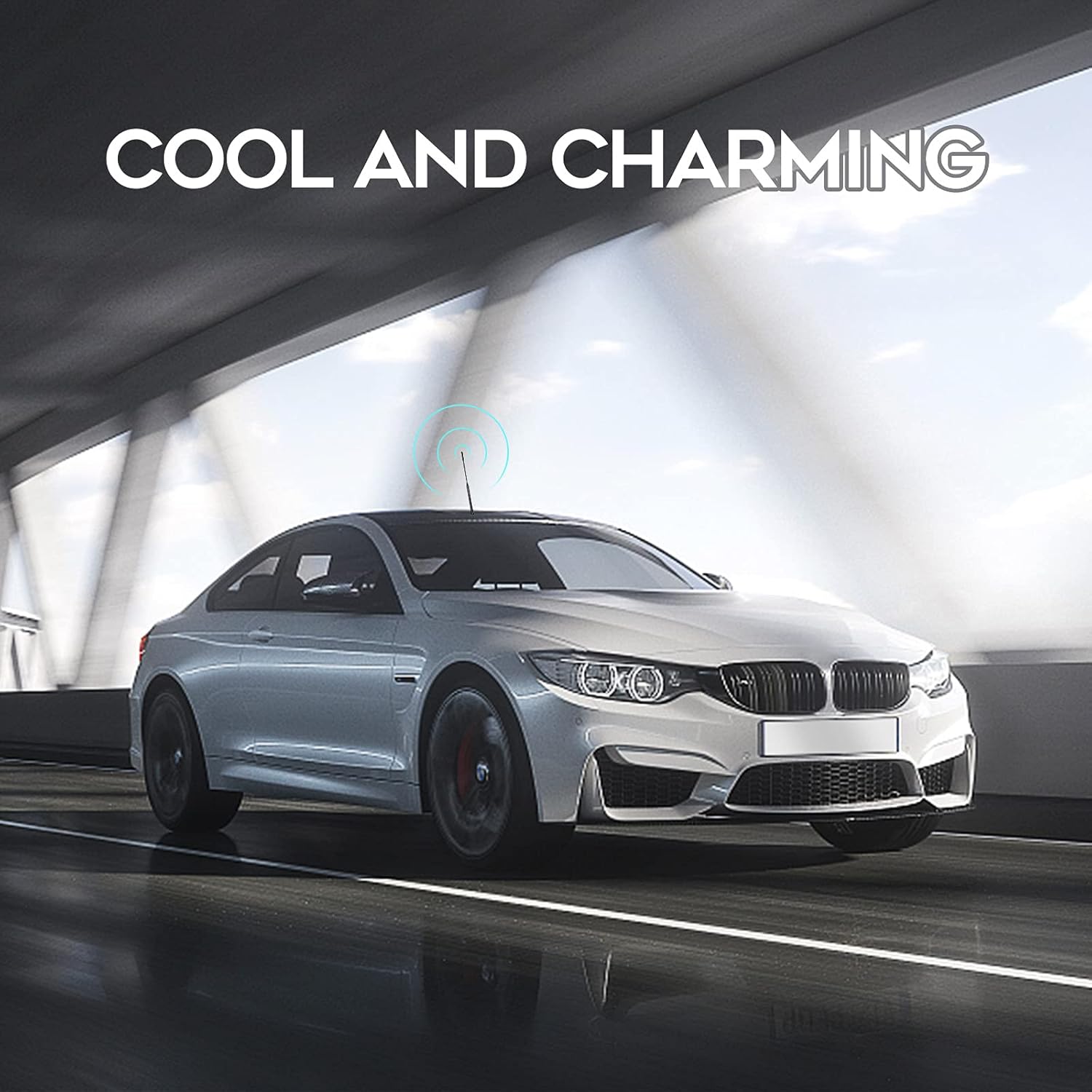 Eightwood Autoantenne FM DAB Autoradio Antenne Dachantenne Auto 2 Stück 23cm Ersatzantennenstab Auto Antenne mit starker FM/DAB-Empfangsfunktion