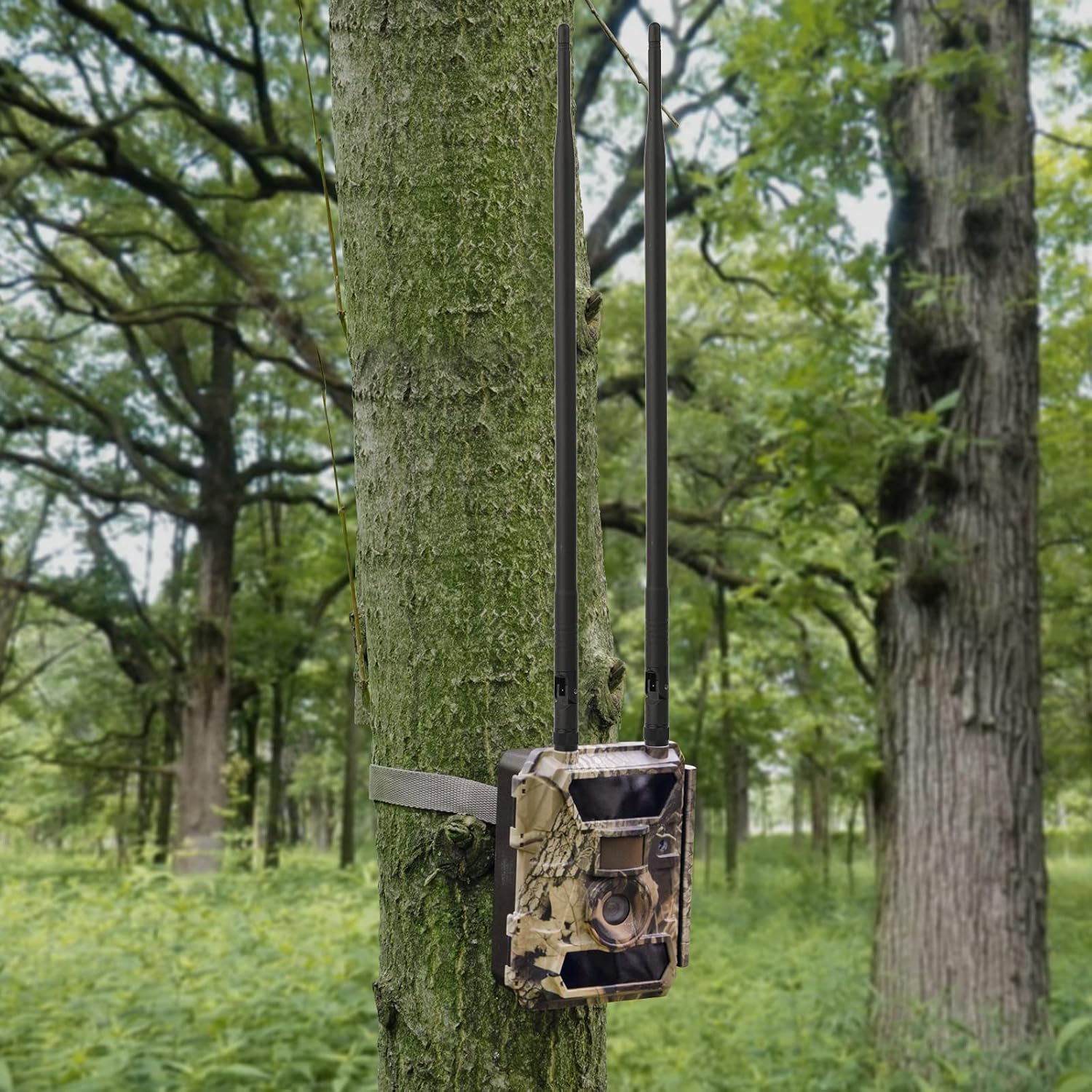 Eightwood 4G LTE Cellular Trail Camera Antenna 9dBi RP-SMA Male Compatible with Spypoint Link Stealth Tactacam Camera Wireless Router Security Camera