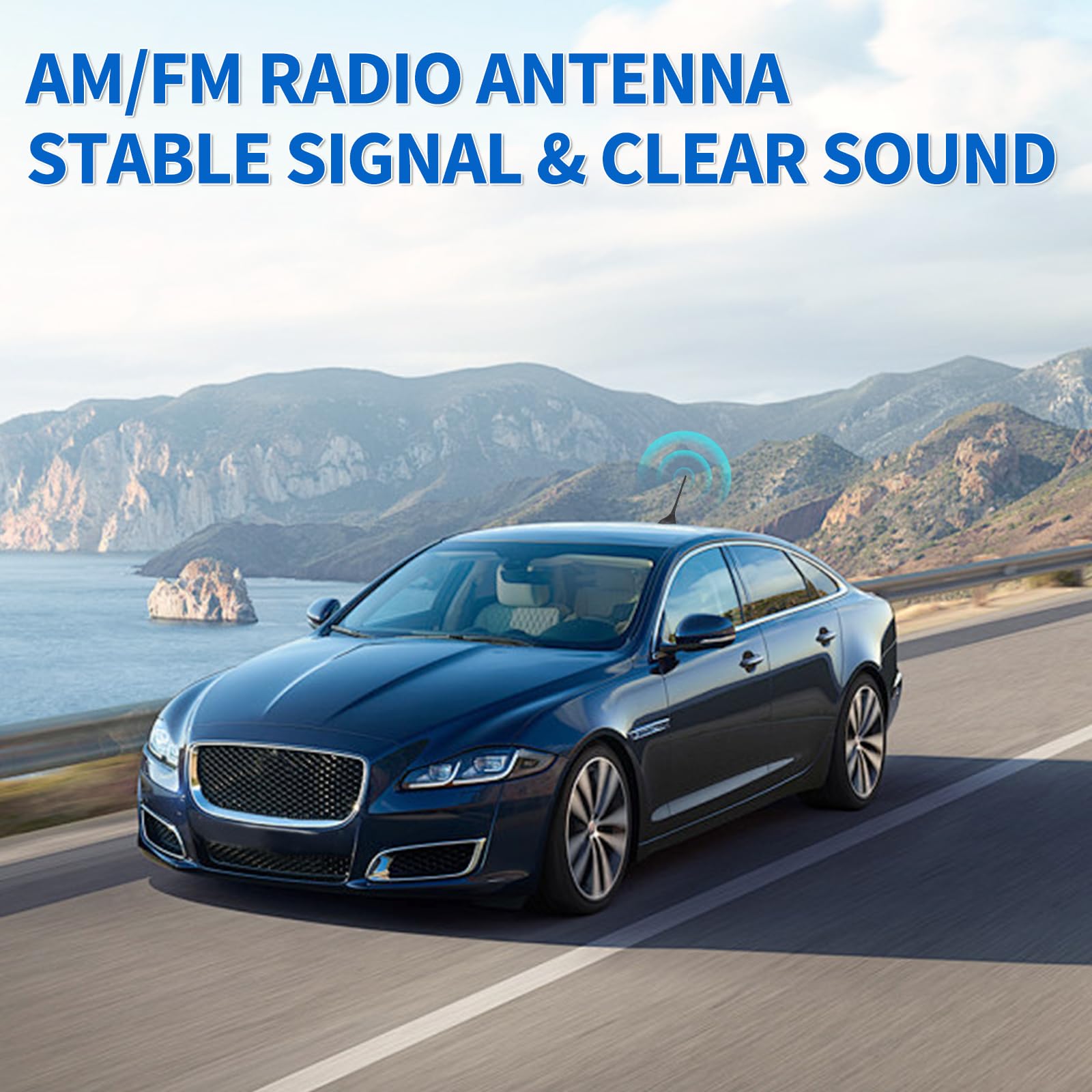Eightwood Dachantenne Auto FM AM Radio Antenne Autoantenne Kurz DIN Adapter Antenne mit 20cm Kabel für Autoradio Pioneer Blaupunkt Pioneer Clarion Alpine Digital Radio Tuner