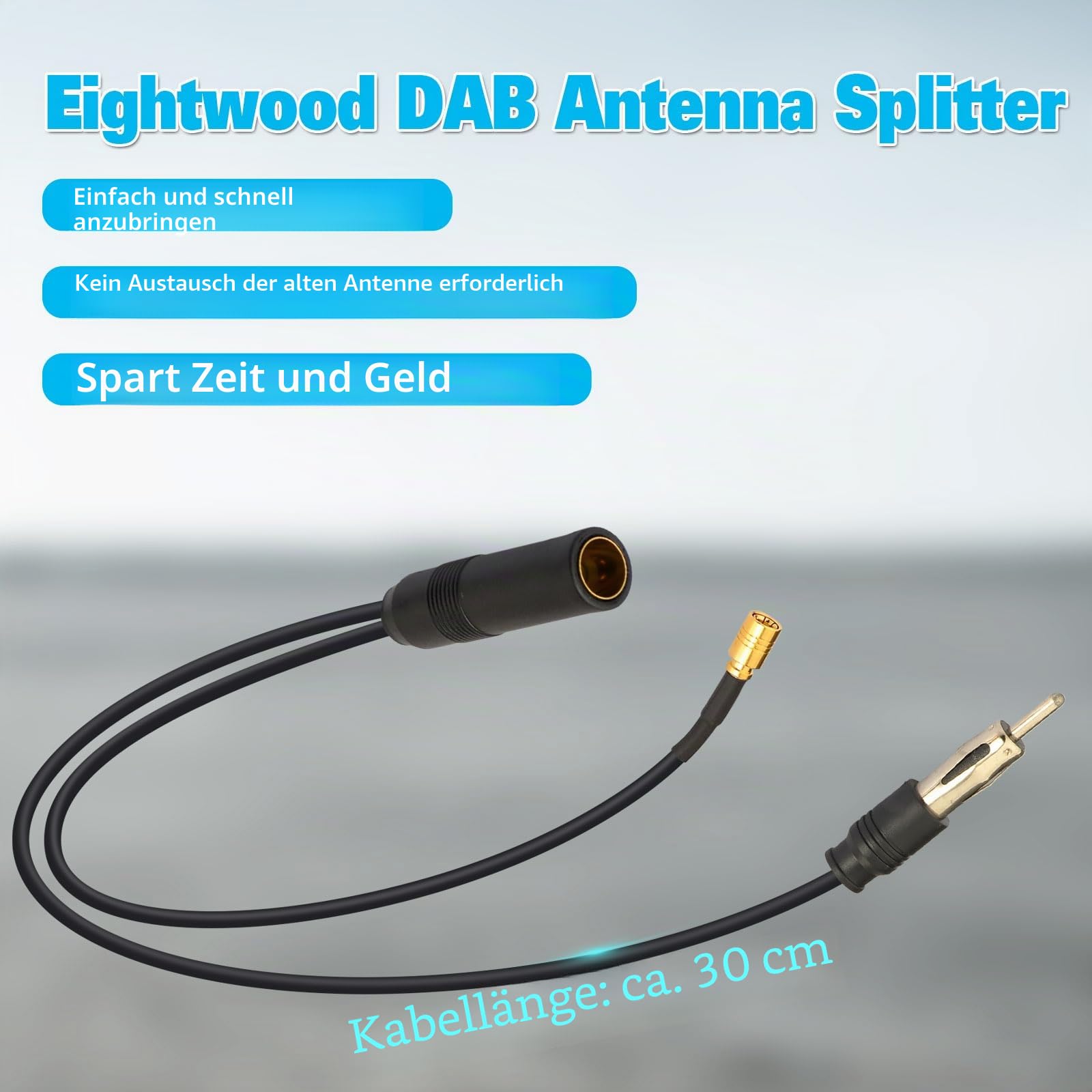 Eightwood Antenneadapter SMB Kabel auf Din Buchse auf Din Stecker(2din) Splitter Kabel RG174 30cm für AM/FM DAB Autoradio MEHRWEG